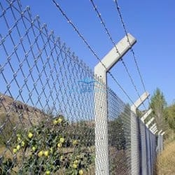 شبوك مزارع مجلفن الرياض