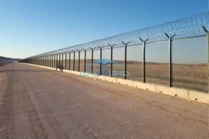 شبوك شائك ملفوف